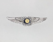 USCG Auxiliary silver pilot wings device - front
